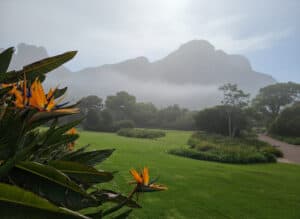 Why a “Walk & Talk” in Cape Town’s Botanical Gardens is the Ultimate Reset