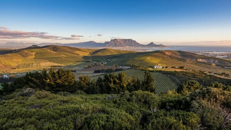 Uncovering the Secret World of the Durbanville Wine Valley