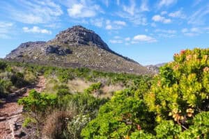 Finding the Perfect High Altitude Swimming and Hiking Escape in Silvermine