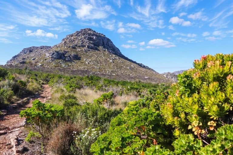 Finding the Perfect High Altitude Swimming and Hiking Escape in Silvermine