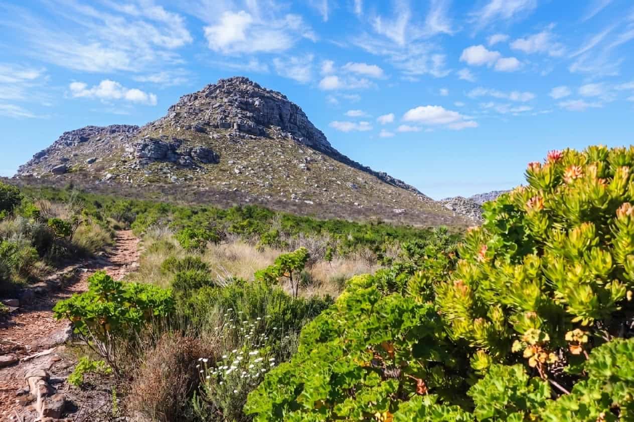 Finding the Perfect High Altitude Swimming and Hiking Escape in Silvermine