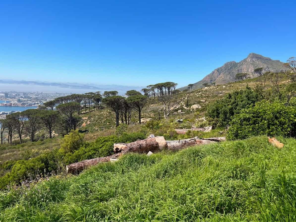 Exploring the Most Spectacular Sunset Trail on the Slopes of Table Mountain