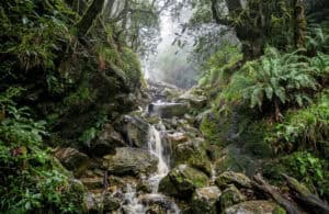 The Ultimate Guide to Hiking Table Mountain’s Skeleton Gorge