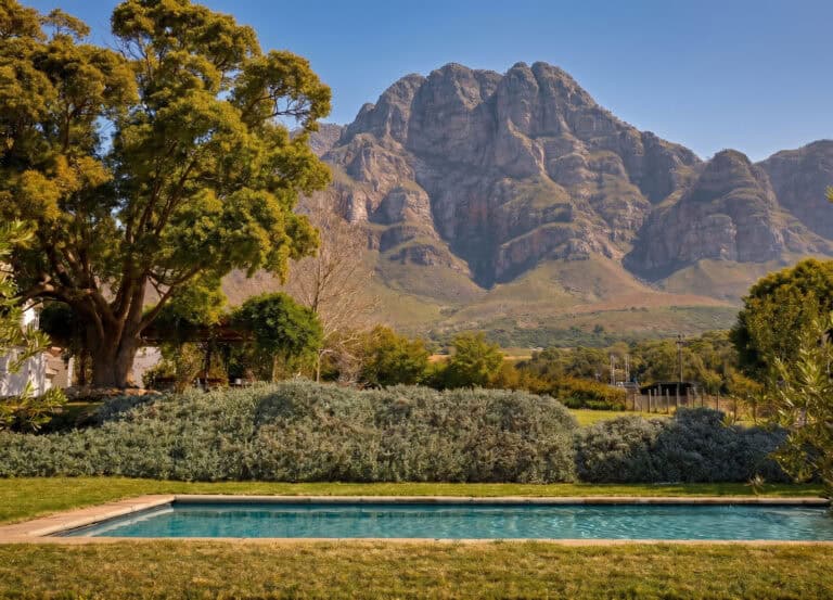 Why You Should Skip Big Luxury Resorts for These Hidden Winelands Sanctuaries