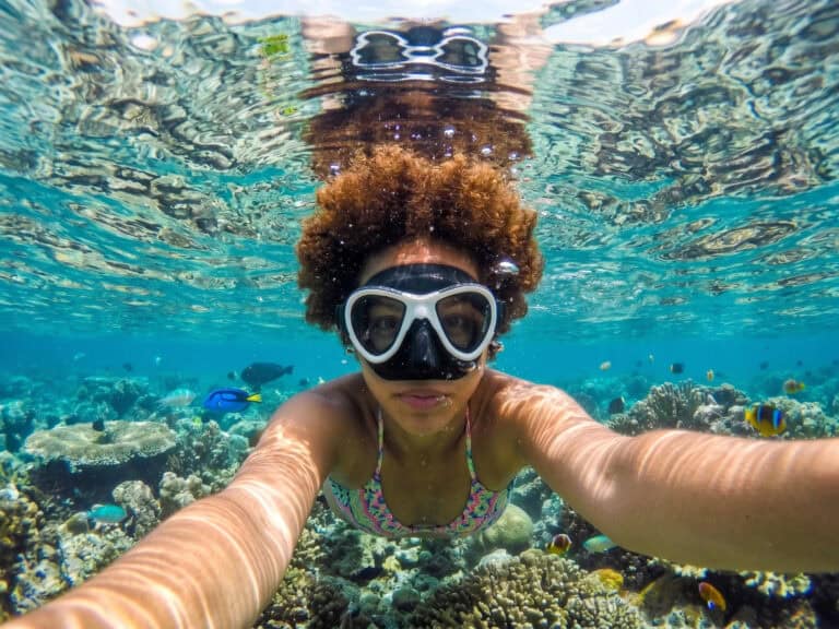 The Best Scuba Diving Charters in the Cape